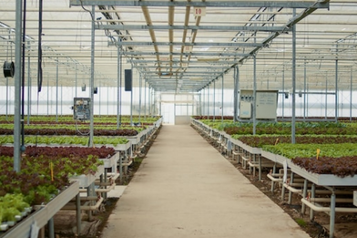 The need for the Agriculture Infrastructure Fund: Objective, benefits and the Key features