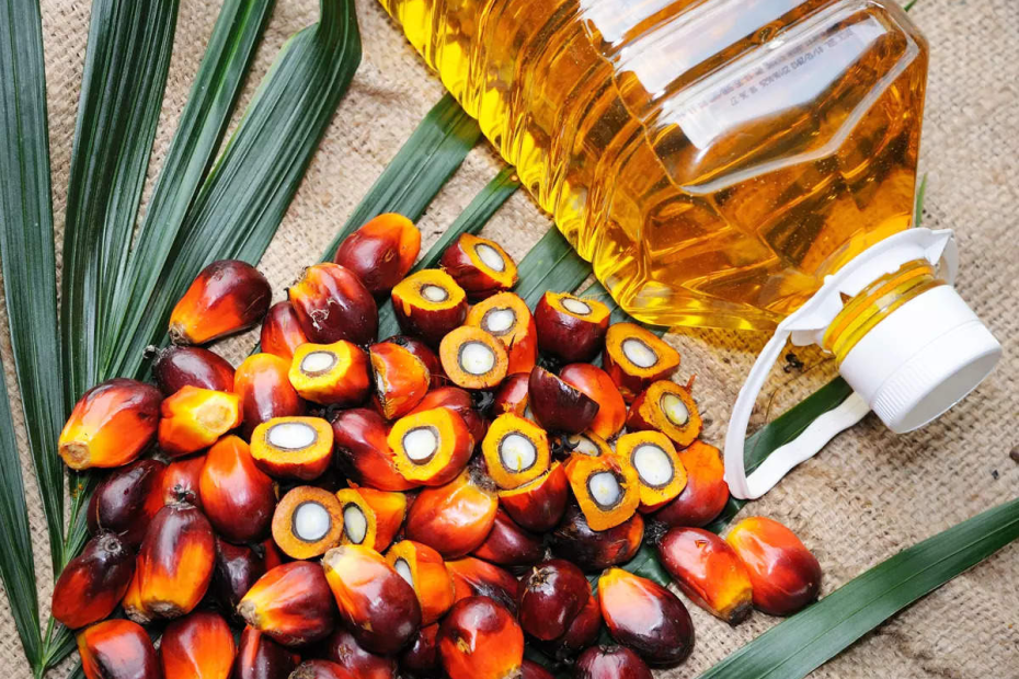 Palm oil initiative