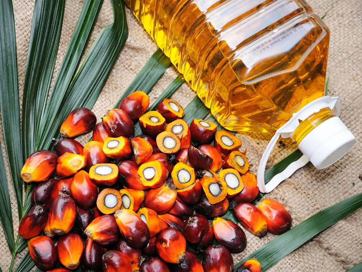 Palm oil initiative: The National Mission on Edible oil for supporting Farming Income and the challenges to overcome