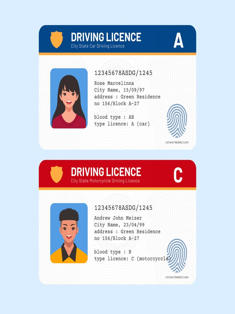 Driving Licence