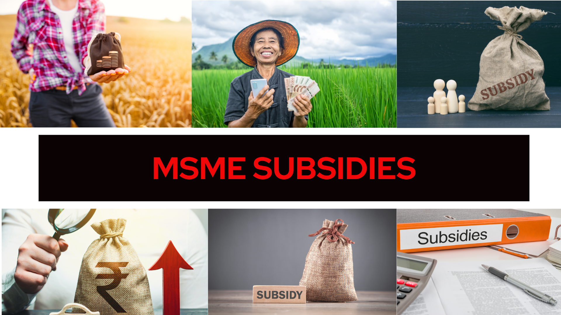 Introducing MSME Subsidies: A Comprehensive Guide