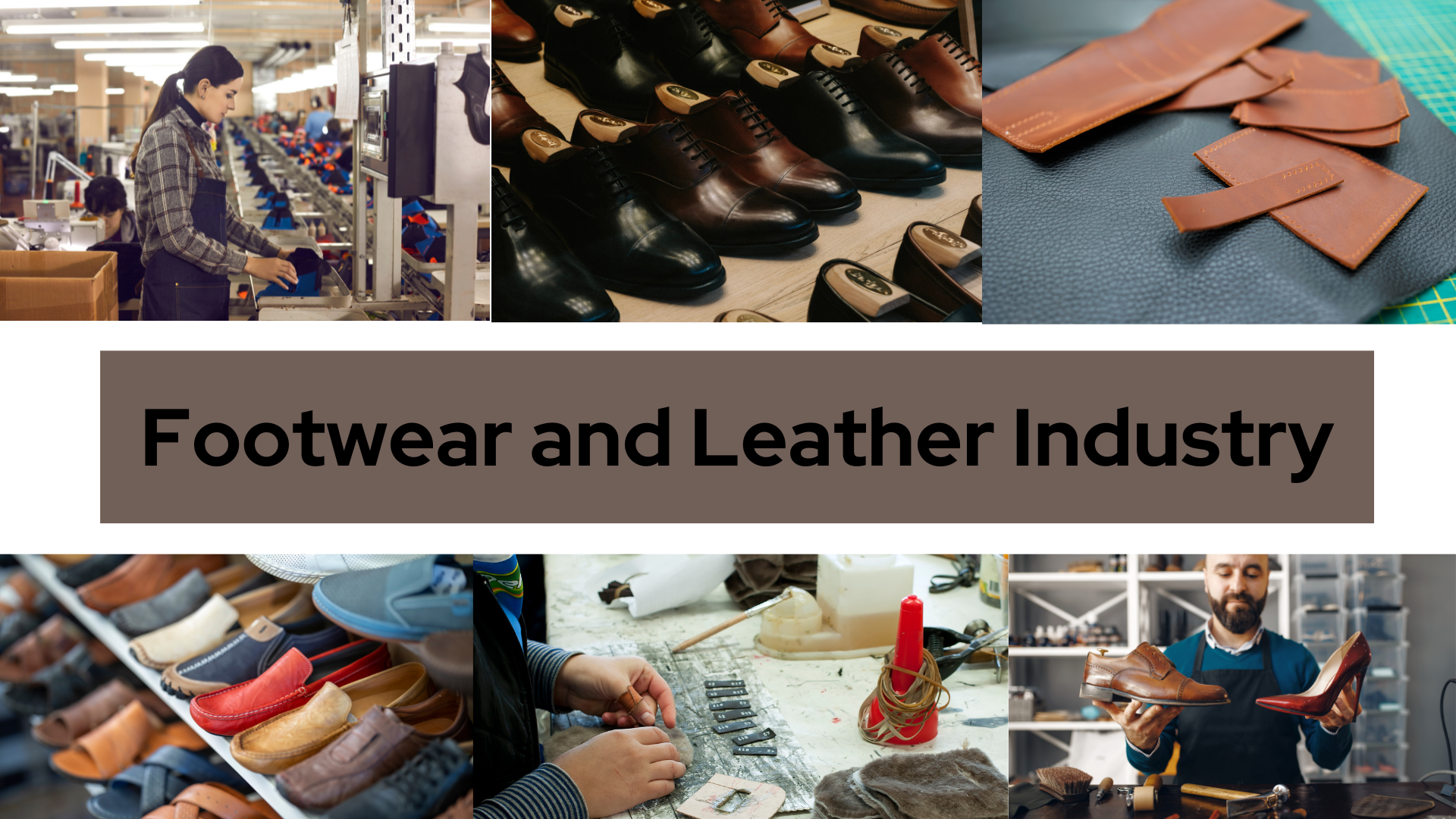 Sustainable Technology and Environmental Promotion (STEP) sub-scheme of Indian Footwear and Leather Development Program