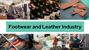 Mega Leather Footwear and Accessories Cluster Development Sub-Scheme of Indian Footwear and Leather Development Program