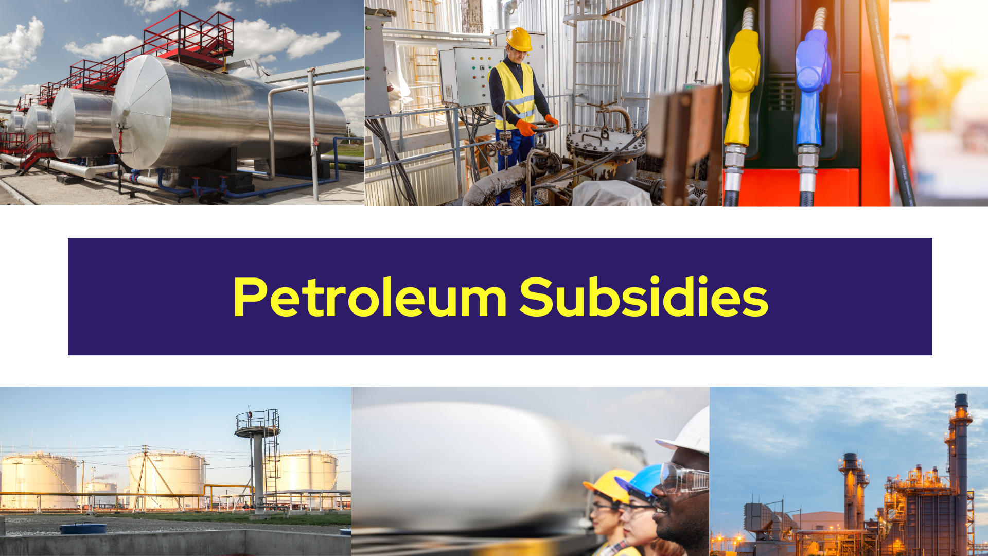 Petroleum Subsidies in India: An Overview and Opportunities for the Industry