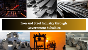 Boosting Competitiveness and Sustainability in the Iron and Steel Industry through Government Subsidies