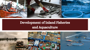 Development of Inland Fisheries and Aquaculture