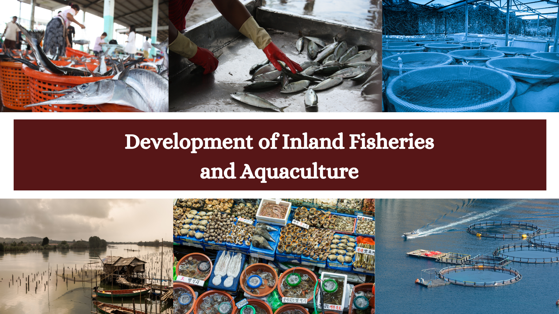 Development of Inland Fisheries and Aquaculture