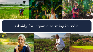 Subsidy for Organic Farming in India 
