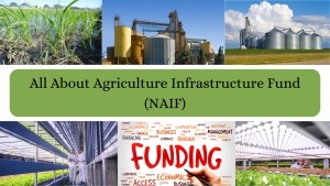 All About Agriculture Infrastructure Fund (NAIF)
